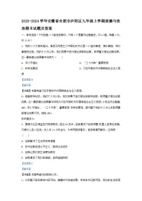 2023-2024学年安徽省合肥市庐阳区九年级上学期道德与法治期末试题及答案