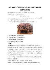 河北省廊坊市广阳区2024-2025学年九年级上学期期末道德与法治试卷（解析版）