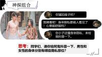 初中政治 (道德与法治)人教版（2024）七年级下册（2024）学会自我保护教课内容ppt课件