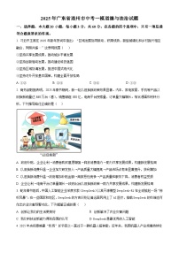2025年广东省连州市中考一模道德与法治试题（原卷版+解析版）