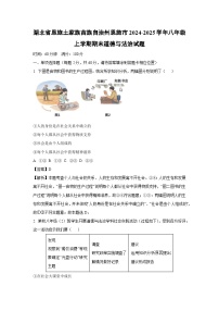 湖北省恩施土家族苗族自治州恩施市2024-2025学年八年级上学期期末道德与法治试卷（解析版）