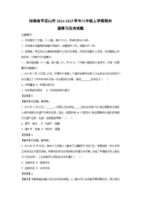 河南省平顶山市2024-2025学年八年级上学期期末道德与法治试卷（解析版）