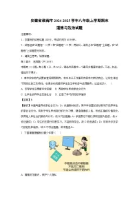 安徽省淮南市2024-2025学年八年级上学期期末道德与法治试卷（解析版）