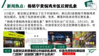 人教版（2024）八年级下册国家行政机关说课ppt课件