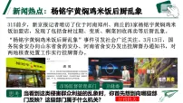 人教版（2024）八年级下册国家行政机关说课ppt课件