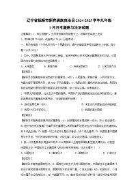辽宁省抚顺市新宾满族自治县2024-2025学年九年级下3月月考道德与法治试卷（解析版）