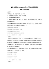 湖南省邵阳市2024-2025学年八年级上学期期末道德与法治试卷（解析版）