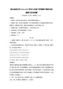 湖北省武汉市2024-2025学年七年级下学期期中模拟考试道德与法治试卷（解析版）