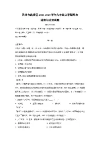 天津市武清区2024-2025学年九年级上学期期末道德与法治试卷（解析版）