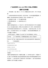 广东省深圳市2024-2025学年八年级上学期期末道德与法治试卷（解析版）