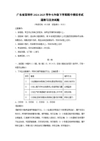 广东省深圳市2024-2025学年七年级下学期期中模拟考试道德与法治试卷（解析版）