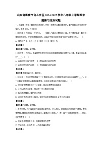 山东省枣庄市台儿庄区2024-2025学年八年级上学期期末道德与法治试卷（解析版）