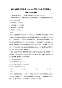 四川省绵阳市平武县2024-2025学年九年级上学期期末道德与法治试卷（解析版）