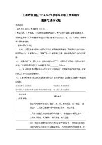 上海市杨浦区2024-2025学年九年级上学期期末道德与法治试卷（解析版）