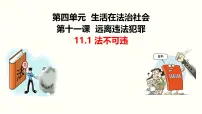 人教版（2024）七年级下册（2024）法不可违集体备课ppt课件