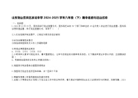 山东烟台蓬莱区郝斌中学2024-2025学年八年级（下）期中道德与法治试卷