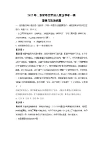 2025年山东省枣庄市台儿庄区中考一模道德与法治试题（解析版）