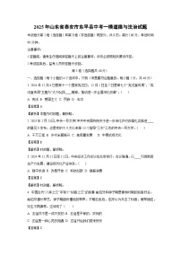 2025年山东省泰安市东平县中考一模道德与法治试题（解析版）