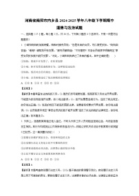 河南省南阳市内乡县2024-2025学年八年级下学期期中道德与法治试题（解析版）