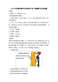 2025年安徽省滁州市全椒县中考一模道德与法治试题（解析版）