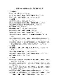 部编版道德与法治九年级重要知识点汇总