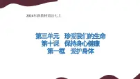 初中政治 (道德与法治)人教版（2024）七年级上册（2024）爱护身体教课内容ppt课件