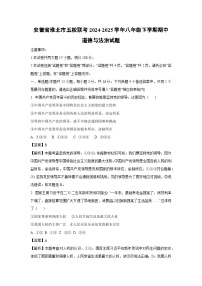 安徽省淮北市五校联考2024-2025学年八年级下学期期中道德与法治试题（解析版）