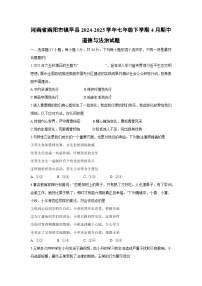 河南省南阳市镇平县2024-2025学年七年级下学期4月期中道德与法治试题