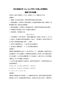 四川省雅安市2024-2025学年八年级上学期期末道德与法治试题（解析版）