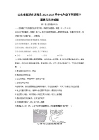 山东省临沂市沂南县2024-2025学年七年级下学期期中道德与法治试题