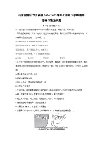 山东省临沂市沂南县2024-2025学年七年级下学期期中道德与法治试题