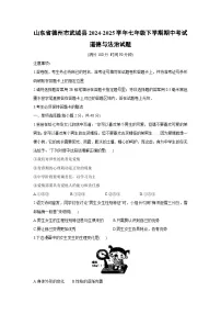 山东省德州市武城县2024-2025学年七年级下学期期中考试道德与法治试题