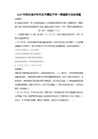 2025年四川省泸州市龙马潭区中考一模道德与法治试题（解析版）