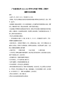 广东省茂名市2024-2025学年七年级下学期4月期中道德与法治试题