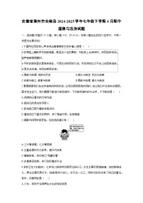 安徽省滁州市全椒县2024-2025学年七年级下学期4月期中道德与法治试题