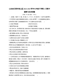 山东省日照市岚山区2024-2025学年七年级下学期4月期中道德与法治试卷
