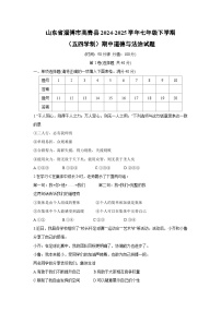 山东省淄博市高青县2024-2025学年七年级下学期（五四学制）期中道德与法治试卷
