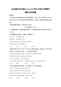 山东省临沂市兰陵县2024-2025学年七年级下学期期中道德与法治试卷