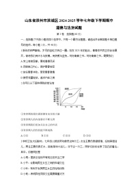 山东省滨州市滨城区2024-2025学年七年级下学期期中道德与法治试卷