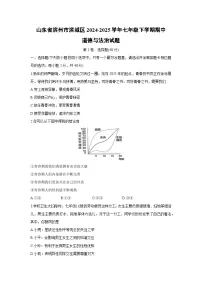 山东省滨州市滨城区2024-2025学年七年级下学期期中道德与法治试卷