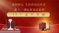 人教版（2024）七年级下册（2024）法不可违说课ppt课件