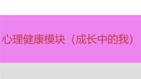 模块二+综合模块 2025年中考道德与法治二轮专题复习实用课件（全国通用）