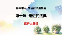 初中政治 (道德与法治)人教版（2024）七年级下册（2024）保护人身权教学演示ppt课件