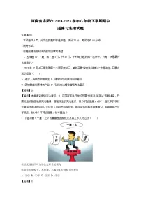 河南省洛阳市2024-2025学年八年级下学期期中道德与法治试卷（解析版）