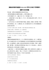 湖南省常德市临澧县2024-2025学年九年级下学期期中道德与法治试卷（解析版）