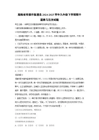 湖南省常德市临澧县2024-2025学年九年级下学期期中道德与法治试卷（解析版）