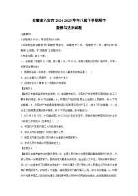 安徽省六安市2024-2025学年八年级下学期期中道德与法治试卷（解析版）