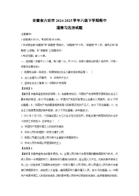 安徽省六安市2024-2025学年八年级下学期期中道德与法治试卷（解析版）