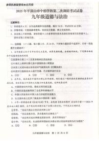 2025年河南省平顶山市中考二模道德与法治试题（中考模拟）