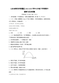 山东省青岛市即墨区2024-2025学年七年级下学期期中道德与法治试卷